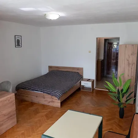 Apartment Alma Self Check In Timisoara