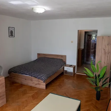 Apartment Alma Self Check In Timisoara