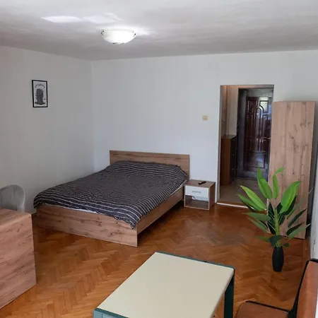 Apartment Alma Self Check In Timisoara