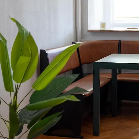 Alma Self Check In Temeşvar