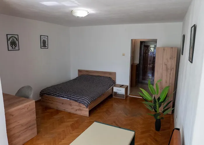 Apartamento Alma Self Check In Timişoara